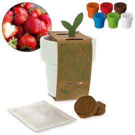 Hot-but-cool beker met aardbeien zaadjes Wit -  LT94552-N0001