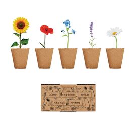 Kit de culture de fleurs Beige -  MO6500-13