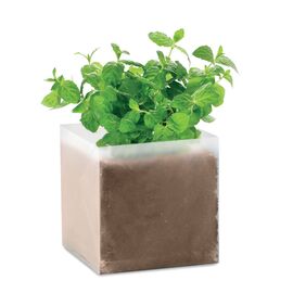 Compost met munt zaadjes Beige -  MO9546-13