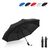 Daintree 190T Pongee 21.5" Faltbarer windproof Regenschirm Auto open Weiß -  LT97116-N0001