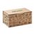 Kit de culture de salade Beige -  MO6499-13