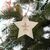Star shaped wooden Christmas ornament  Nature -  LT90281-N0094