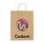 Pagari Paper Bag A3 Brown -  298640