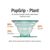 PopSockets® Plant telephone holder Transparent white - Popsockets 782310
