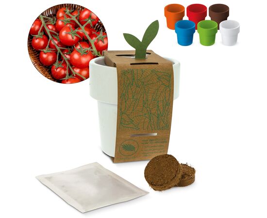 Hot-but-cool beker met kerstomaten zaadjes Wit, Transparant, Fluor assorti -  LT94553-N0999