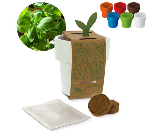 Tasse à café hot-but-cool avec graines de basilique Blanc, Transparent, Assortiment fluorescent -  LT94554-N0999