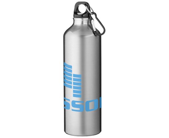Oregon 770 ml aluminium water bottle with carabiner Silver - Unbranded 10029701
