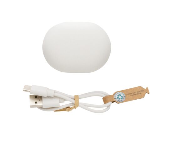 RCS standaard recycled plastic TWS oordoppen Wit - XD Collection P329.673