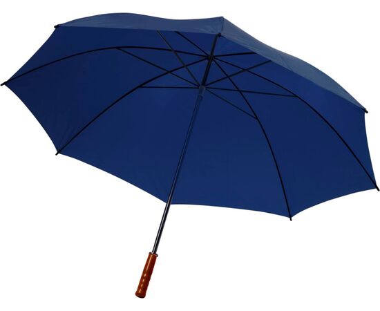 Portierschirm aus Polyester Rosemarie Schwarz -  4066.001