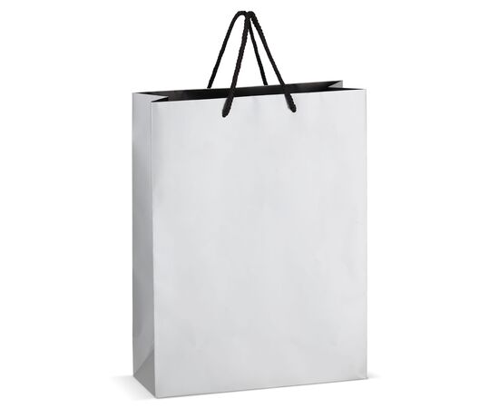 FSC Paper gift bag 30 x 12 x 40cm 200g/m² Silver -  LT91517-N0005
