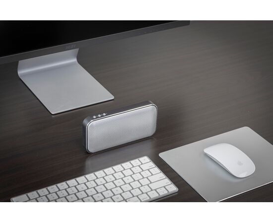 Enceinte sans fil BrandCharger Nano Charge Noir, Argent -  1233560.050