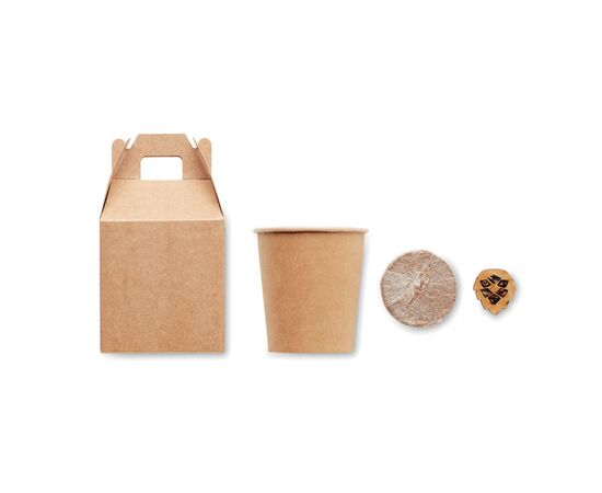 Pijnboom set Beige -  MO6228-13