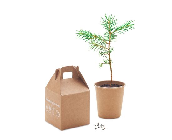 Pijnboom set Beige -  MO6228-13