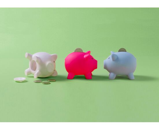 PVC spaarvarken Roger Wit -  1842.002