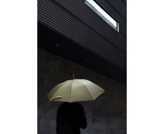 VINGA Bosler AWARE™ Regenschirm aus recyceltem PET Grün - Vinga V850007