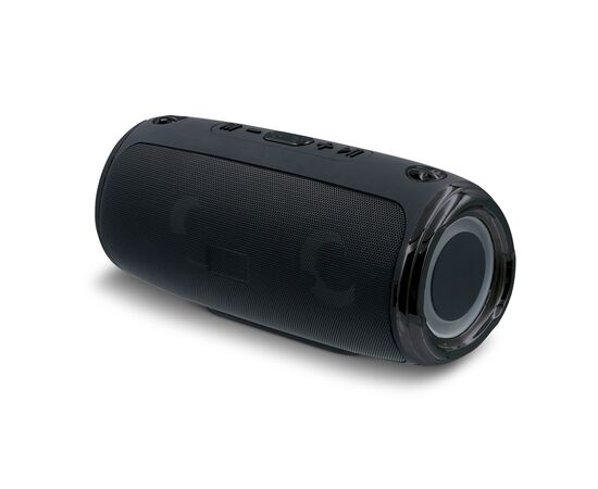 Large speaker with shoulder strap 20W Noir -  LT91127-N0002