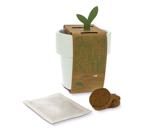 Hot-but-cool beker met aardbeien zaadjes Wit -  LT94552-N0001