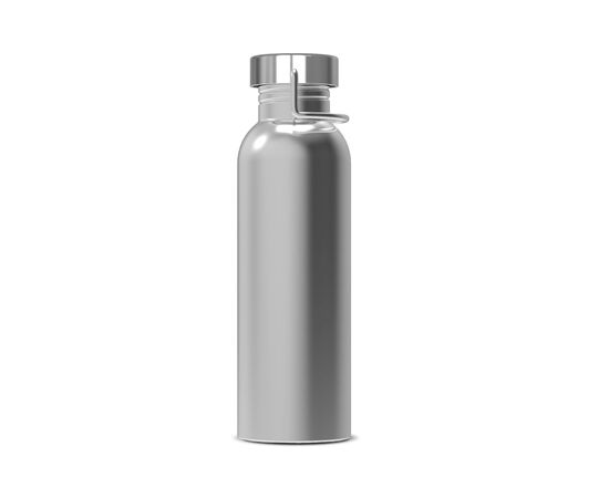 Bouteille d’eau Skyler 750ml Argent -  LT98865-N0005