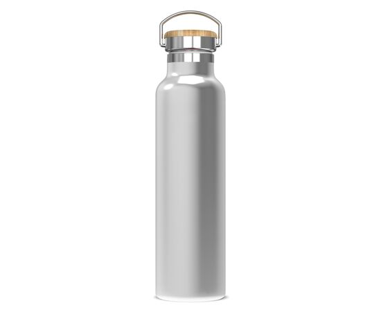 Bouteille Ashton 650ml Argent -  LT98883-N0005
