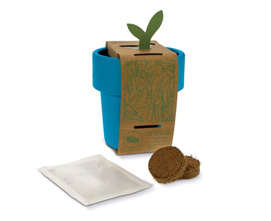 Tasse à café hot-but-cool avec graines de tomate cerise Bleu -  LT94553-N0011