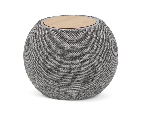 5W Lautsprecher &amp; 15W drahtloses Ladegerät R_PET &amp; Bamboo Grau - empty LT95601-N0061