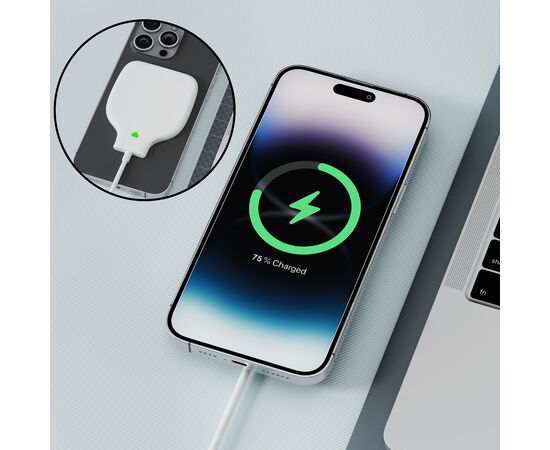 Xoopar Triton PD Magnetic Wireless Charger Blanc - Xoopar LT41509-N0001