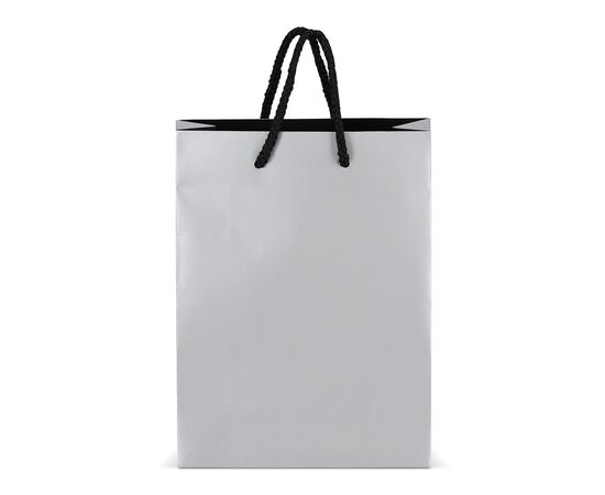 Sac cadeau en papier 18 x 8 x 24cm 200g/m² Argent -  LT91515-N0005