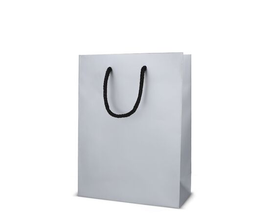 Sac cadeau en papier 18 x 8 x 24cm 200g/m² Argent -  LT91515-N0005