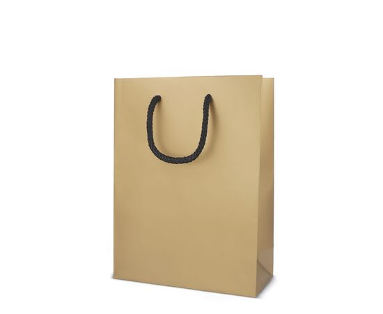 Papieren cadeautas 18 x 8 x 24cm 200g/m² Goud -  LT91515-N0006