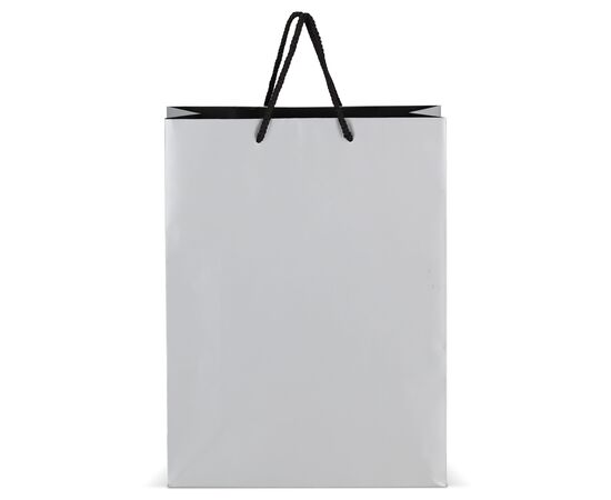 FSC Paper gift bag 30 x 12 x 40cm 200g/m² Silver -  LT91517-N0005