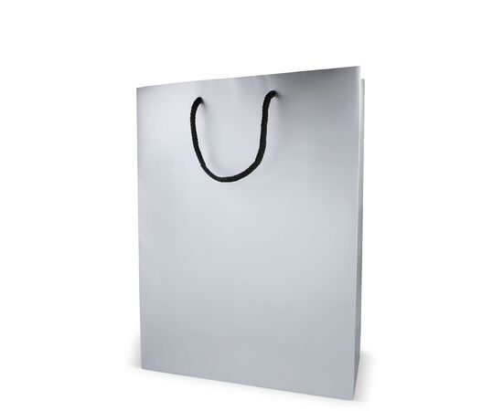 FSC Paper gift bag 30 x 12 x 40cm 200g/m² Silver -  LT91517-N0005