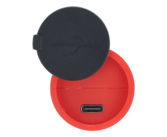 Lampe de poche LED rechargeable 10 W avec fonction zoom 300 lm Rouge -  LT93319-N0021