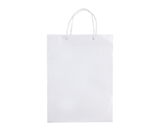 Sac papier Grand Blanc -  LT91513-N0001