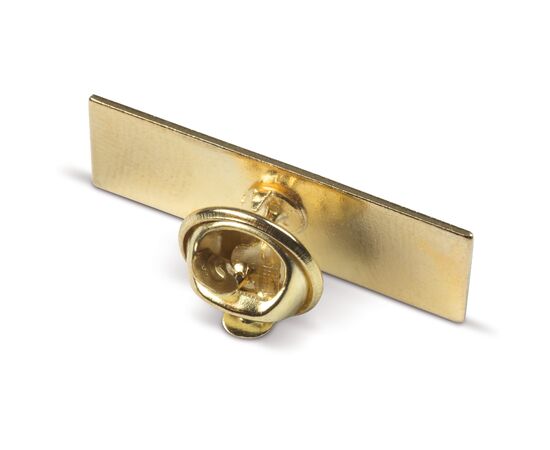 Metal pin, rectangle  30x10mm Gold satin -  LT99742-N0092