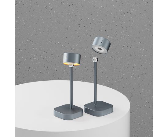 Lampe de table intelligente Xoopar Mojiu avec commande vocale Gris clair - Xoopar LT41318-N0062
