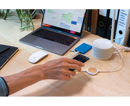 Câble 3 en 1 avec chargeur sans fil en Bambou 5W Blanc - XD Collection P302.253