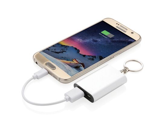 Porte-clés powerbank 1000mAh Argent - XD Collection P324.190