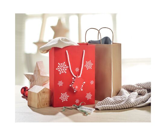 Papieren geschenktas (M) Rood -  CX1414-05