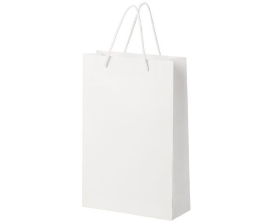 Handmade 170 g/m2 integra paper bag with plastic cord handles - 24 x 9 x 36 cm White - Unbranded 1ZB01001