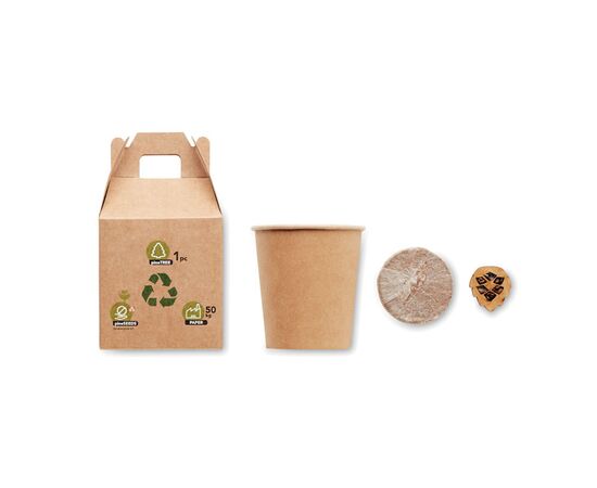 Un set, un pin Beige -  MO6228-13