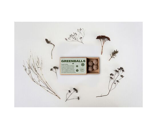 Green Balls mini-ecosystem Brown -  W07740