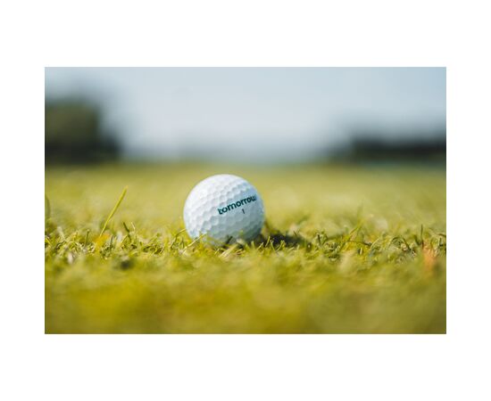 tomorrow golf Single Pack Recycled Golf Balls Wit - Tomorrow Golf W43010