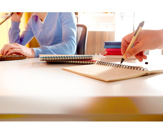 Notizbuch aus recyceltem Papier Stella Hellgrün -  2715.029