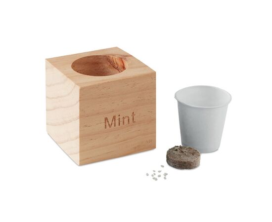 Kweekset, munt in houten pot Hout -  MO9337-40