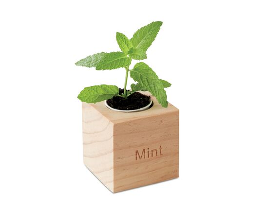Kweekset, munt in houten pot Hout -  MO9337-40