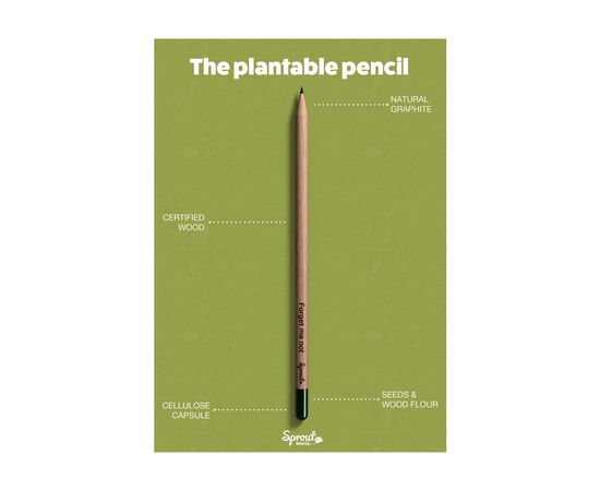 Sproutworld Sharpened Pencil potlood Basil - Sproutworld W36740