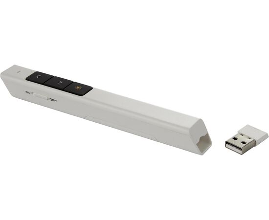 Pointeur laser en plastique Manon Noir -  8253.001