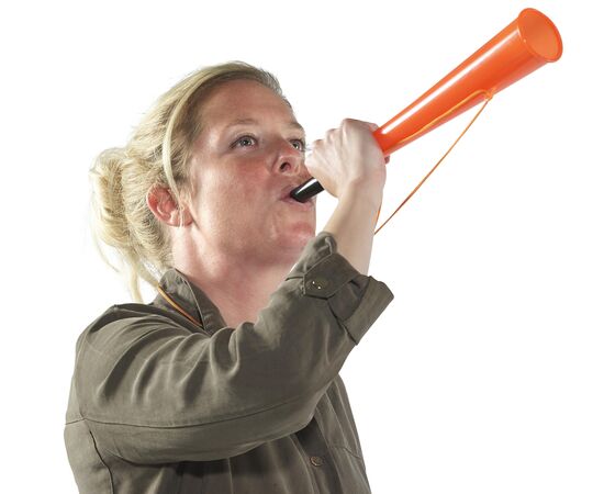 PP stadium horn Bruce White -  8247.002