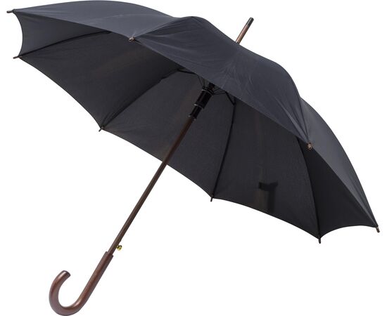 rPET polyester (170T) paraplu Barry Zwart -  8422.001
