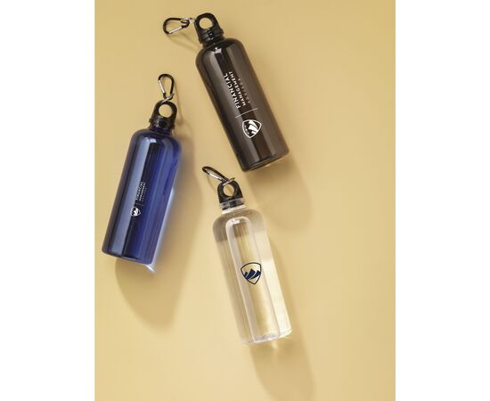 Lewis GRS RPET Bottle 630 ml bouteille Transparent -  155001